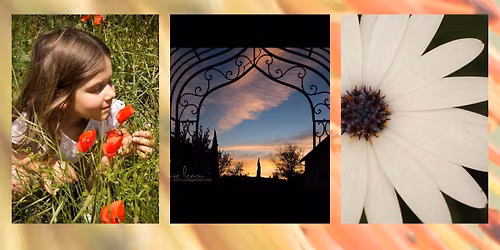 A Beginner's DSLR Camera &amp; Photography Workshop 