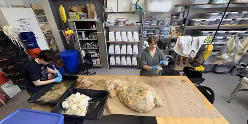 From Fleece to Finished, A Wool Processing Workshop