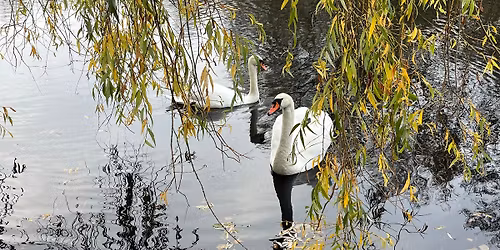 Bynatursbingo i Bygholm Park - for hele familien \ud83d\udc9a