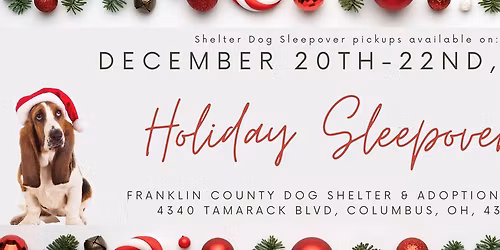 Shelter Dog Holiday Sleepover Pickups 