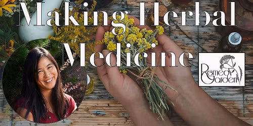 Making Herbal Medicine