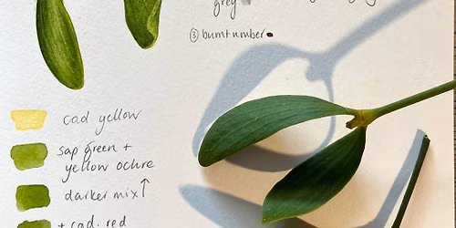 Botanical Watercolour Workshop 'Mistletoe' with Karen Green - Saturday 5th December 2026