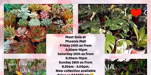 Gaia at Phoenix Mall 