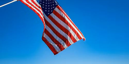 Red, White & Blue Pupcups