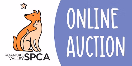 Online Auction!