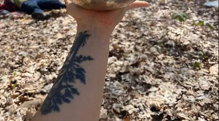 Spring Forest Bathing Class