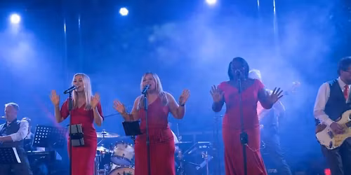 Soul &amp; Motown Night - Ministry of Soul Band