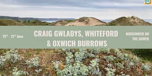 Midsummer on the Gower