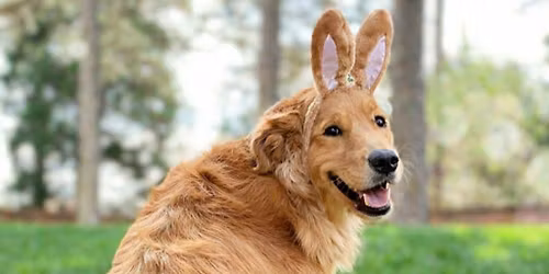 GRRNT Easter Egg Hunt Fun-raiser