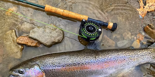 Exploring Fish Filleting and Cooking: Trout (SE OH)