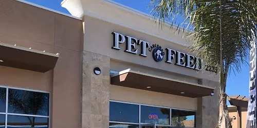 Vista - Dog dental cleaning