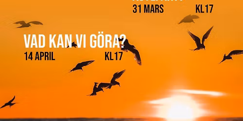 Serie om Migrationspolitik 