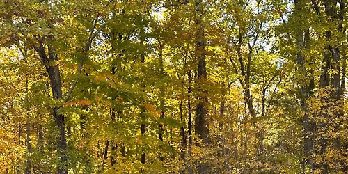 WoodBadge at Camp Workcoeman Weekend One