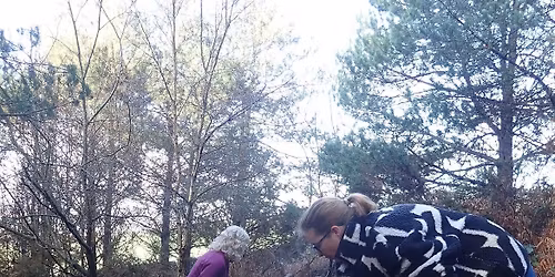 Volunteer Dig Weekend