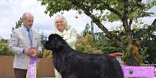 PNNC 2026 Summer Regional Specialty