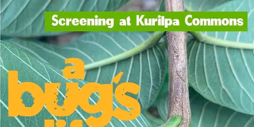 A Bug's Life - Film screening at the Kurilpa Commons
