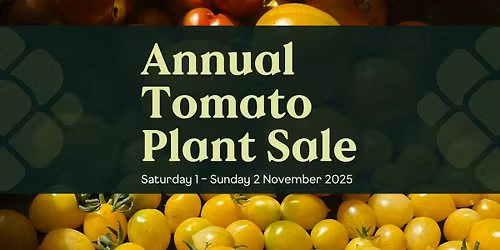Annual Tomato Plant Sale