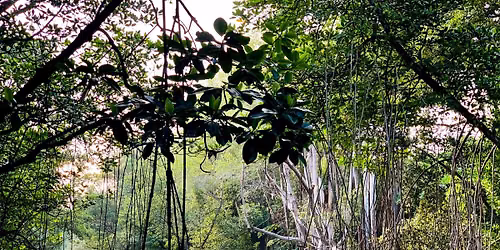 Khatib Bongsu River Trail (Upper)