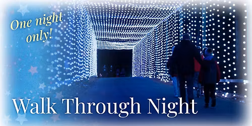 \u2728 Walk Through Night \u2728