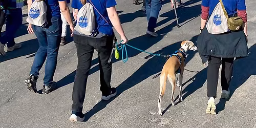 Ladywalk 2026 i Hiller\u00f8d