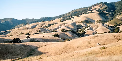 Joyfully Rooted Wellness Retreat
