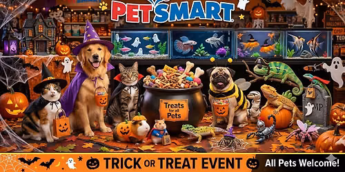 TRICK OR TREAT!