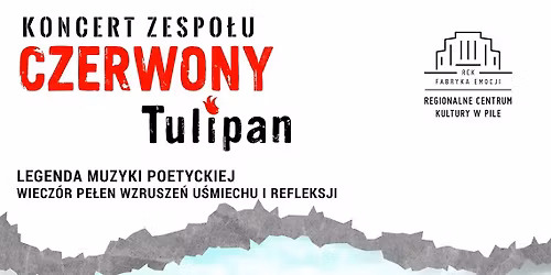 Koncert zespo\u0142u CZERWONY TULIPAN