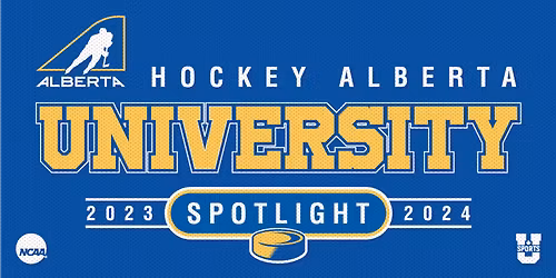 Parking Averett Cougars at High Point Panthers Mens Basketball