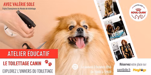 Apprendre le Toilettage Canin - Atelier \u00e9ducatif avec Val\u00e9rie SOLE