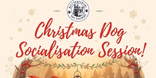 christmas dog socialisation session fundraiser