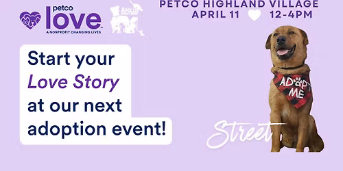 Petco Highland Village Adoption Event