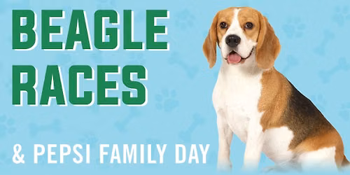 Beagle Races