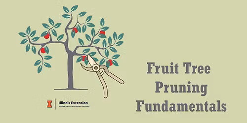 Fruit Tree Pruning Fundamentals