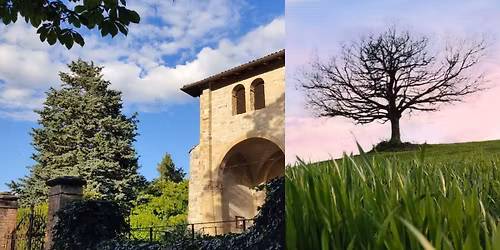La Badia e la quercia grande