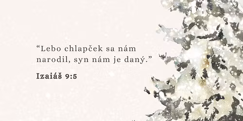 Viano\u010dn\u00fd koncert