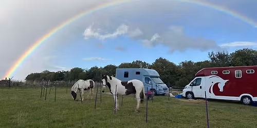 Ashcombe Summer TREC competition