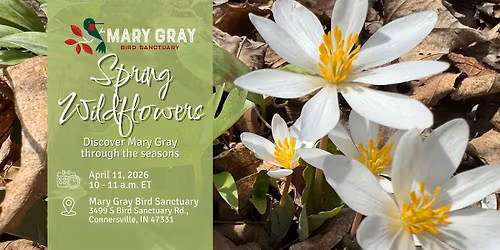 Spring Wildflowers at Mary Gray