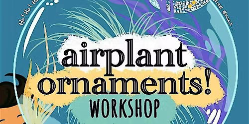 Airplant Ornament Workshop!