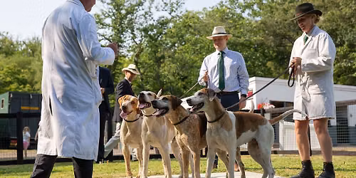Puppy Show at Kennels