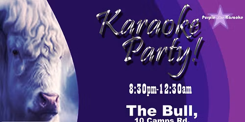 Karaoke at The Bull, Haverhill