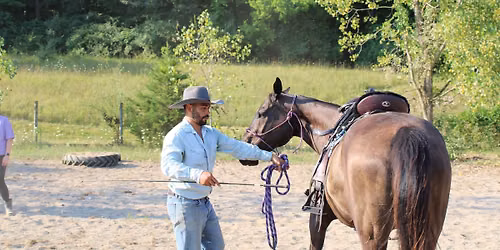 Mid Michigan Roundup