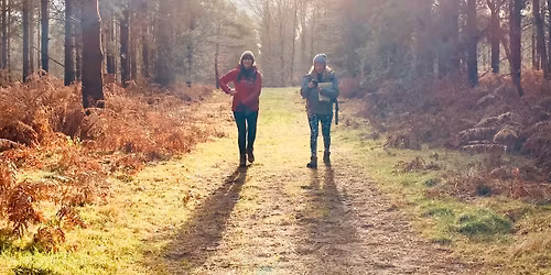 FULLY BOOKED - Autumn Hike \u2013 Hatfield Forest & River Stort (Hertfordshire \/ Essex) 19km