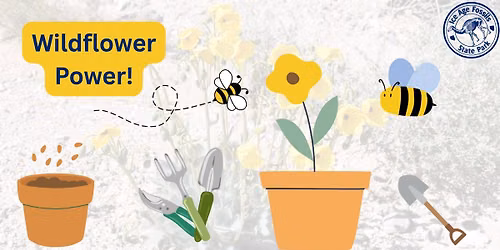 Wildflower Power!