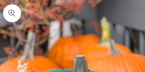 Pumpkin Bloom Workshop