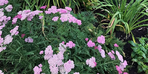 The Gardens of Markham Tour