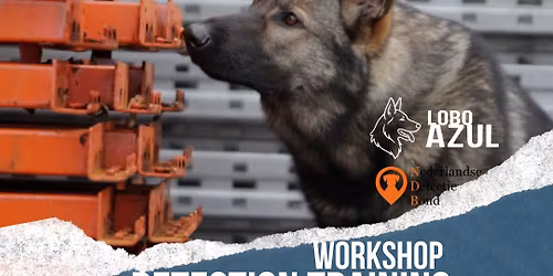 Detection workshop - Quinta dos Corgos