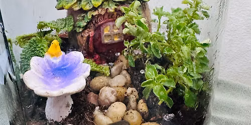 Make your own terrariums drop in event