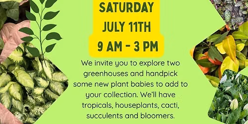Tropical Vibes: A Greenhouse Event for All Plant Lovers