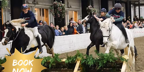 Daimler Foundation Gala Night