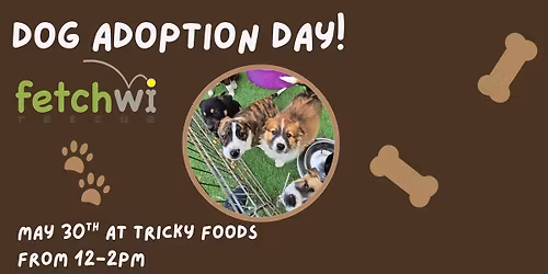 Dog Adoption Day with Fetch WI Rescue